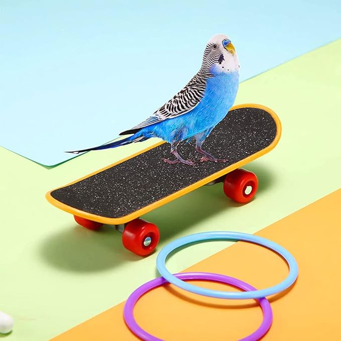 4Pcs Bird Training Intelligence Toys Set Included Training Basketball, Colorful Stacking Rings, Mini Skateboard and Shopping Cart Toy, Sepak Takraw for Parrots Budgies Cockatiel Parakeet #6