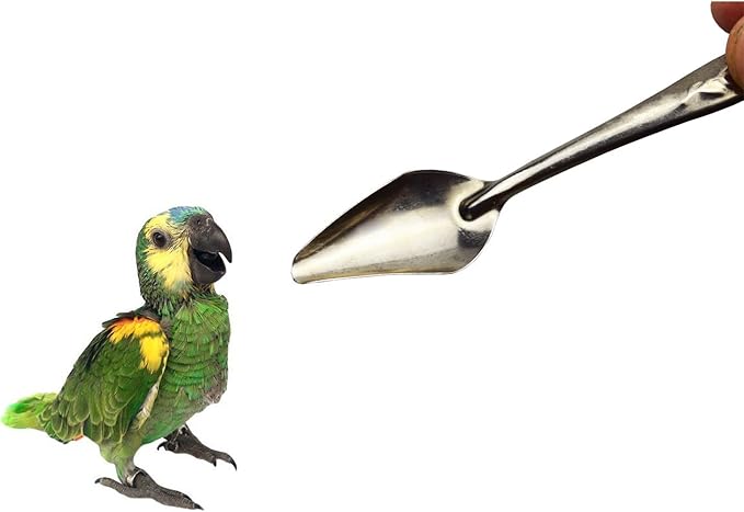 4.7" Bird Parrot Stainless Steel Metal Feeding Spoon,Special Feeding Scoop Medicine Spoons Hand Feeding Spoons for Peony Cockatiel Parrot (1 PCS)