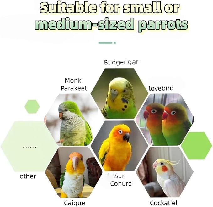 Bird Play Stand with Beads & Swing for Parrots | Multi-Level Natural Wood Stand | Perfect for Parakeets, Cockatiels & Small Parrots | Engaging Bird Perch & Toys