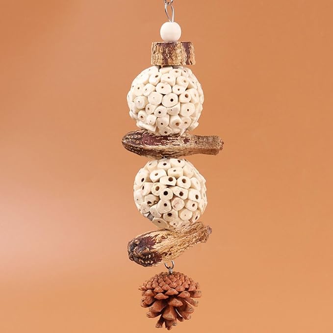 Bird Chew Toy for Pet Bird Parrot Sola Ball Natural Nuts Pinecone Chewing Toy for Small Parakeet Cockatiel Conures Finch Budgie (L)