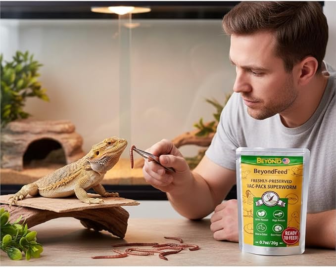 BeyondFeed™ USA Grown Freshly Preserved Vac-Pack Feeder Insects – Ready-to-Feed Protein Treats for Reptiles, Birds, Fish & Aquatic Turtles (Fresh Superworm-6 Pack Bundle 120g/ 4.23oz)