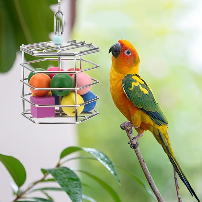 Bird Stainless Steel Foraging Feeder Parrot Hanging Feeding Box for Macaw African Grey Cockatoo Cockatiel Amazon Cage (Foraging Feeder with Blocks)