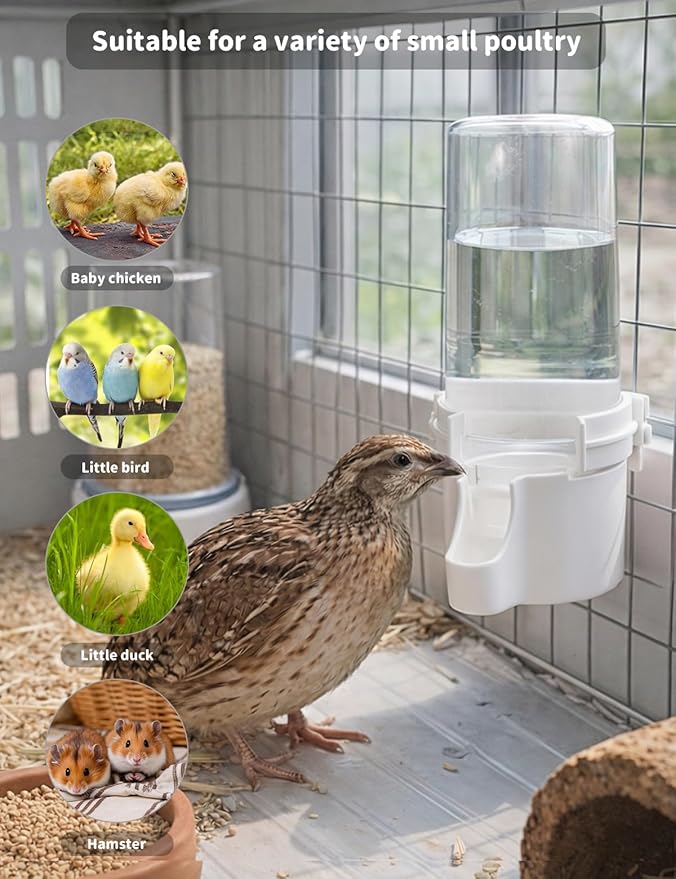 Quail Chick Waterer with Anti-Drowning Shallow Tray, 16.6 fl oz Automatic Gravity Button Quail Waterer, Hanging or Free-Standing Bird Water Dispenser for Wire Mesh Cages and Brooders (White)