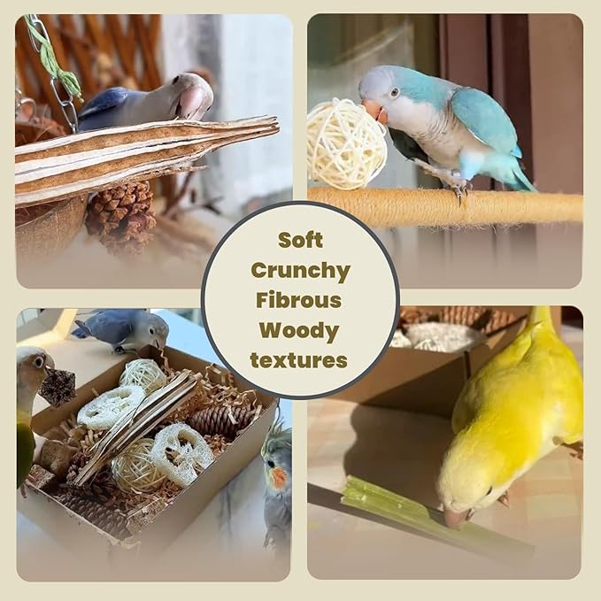 30PCS Natural Foraging & Chew Parrot Toy,Shredding Box for Parakeets, Cockatiels, Conures & Lovebirds and Other Small to Medium Birds (Medium)