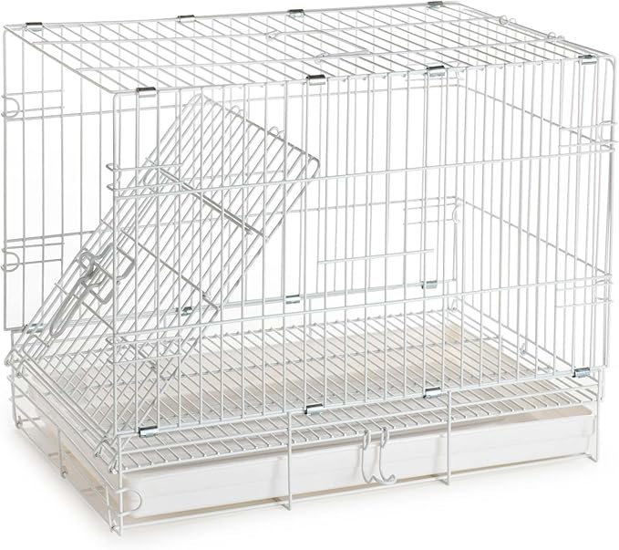Durable Easy Portable Metal Travel or Veterinary Collapsable Parrot Bird Carrier Bite-Proof Cage with Stainless Steel Feeder Bowls Natural Wooden Perch Stand