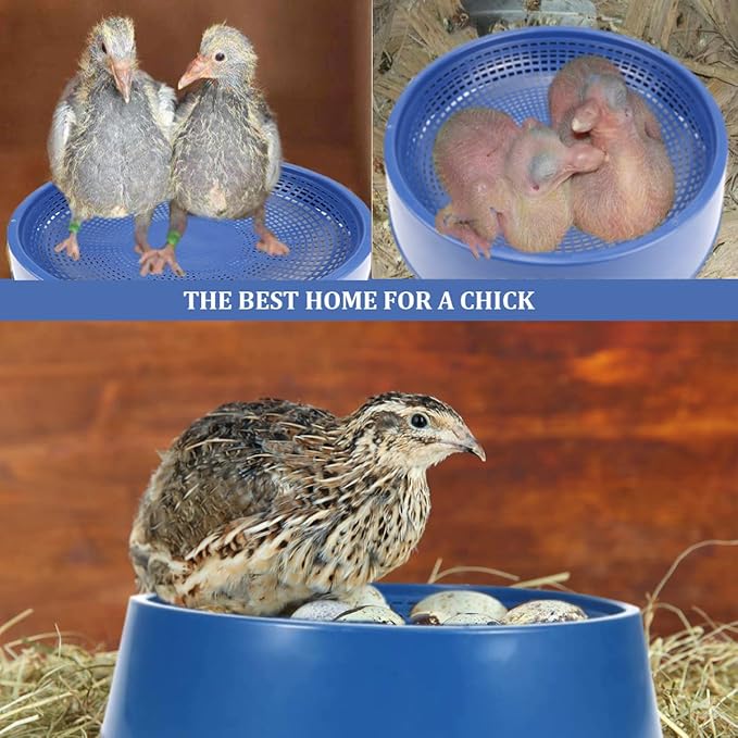 10 Pcs Plastic Pigeon Nest Bird Nest Bowls Pigeon Nest Bowl Breeding Hatching Nest for Pigeons Quails Breeding Hatching (Blue)
