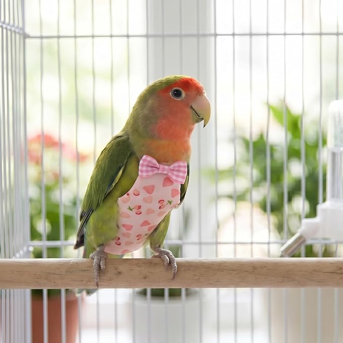 4 Pcs Bird Diaper Reusable Cute Pet Bird Parrot Diapers with Waterproof Inner for Cockatiel Budgie Canary