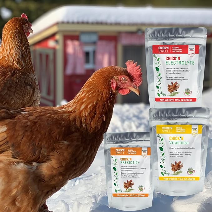 Chicken Electrolytes for Heat Stress & Dehydration – Poultry Electrolyte & Vitamin Supplement for Laying Hens and Chicks – Supports Hydration & Recovery – 10.5 oz, from Chick’N Swell.