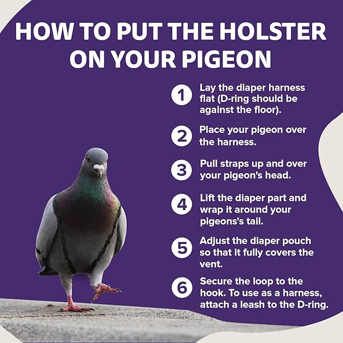 Hen Holster Premium Starter Kit - Bird Diaper, Wrap Around for Larger Pigeons, Small Breed Hens & Roosters - Leak-Proof, Comfortable Bird Harness with Sewn-in Liner & Hook & Loop Closure - XS, Purple