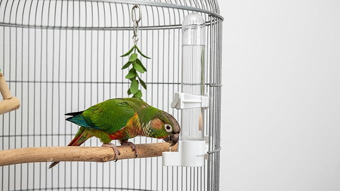 Automatic Bird Water Dispenser Cage Hanging Water Feeder with Anti-Spill Design for Parakeet Canary Small Parrot Lovebirds (6PCS 120ml Water Dispenser)