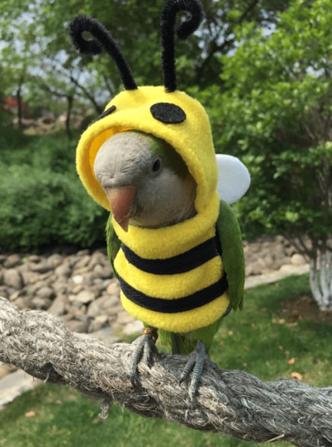 Bird Bee Shape Cosplay Photo Prop for Parrots Lovebird Budgie Parakeet Cockatiel Sun Conure, Small Animals Apparel (X-Large)