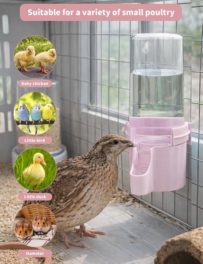 Quail Chick Waterer with Anti-Drowning Shallow Tray, 16.6 fl oz Automatic Gravity Button Quail Waterer, Hanging or Free-Standing Bird Water Dispenser for Wire Mesh Cages and Brooders (Pink)