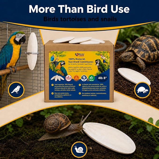 Birds LOVE 7.5-8" Cuttlebones for Birds ā 100% Natural Sun-Dried Calcium & Beak Conditioning Supplement for Parakeets, Budgies, Cockatiels, Finches & Canaries ā 4 lb with Holder ā Made in Vietnam
