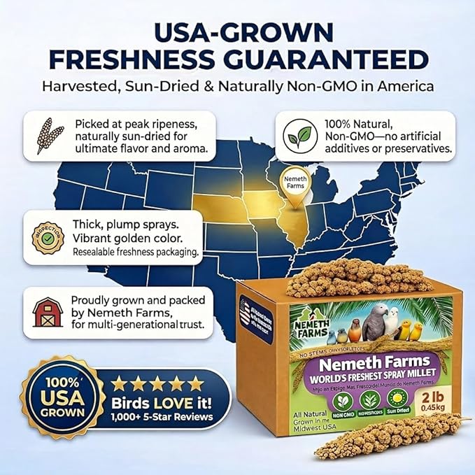 Nemeth Farms Spray Millet - Edible Tops Only, Non-GMO and Sun-Dried - 2 lbs for Cockatiels, Lovebirds and Budgies