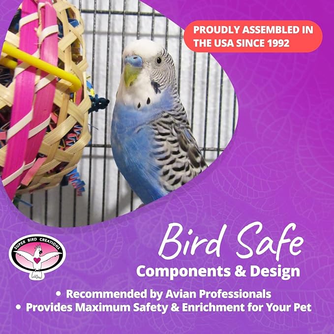 Super Bird Creations SB573 Basket Case Bird Toy - Ringnecks, Cockatiels, Parakeets, Parrots - Foraging Bird Toy with Colorful Paper Shred, Vine Stars, & Wooden Beads - for Medium Bird Size - 10" x 4"