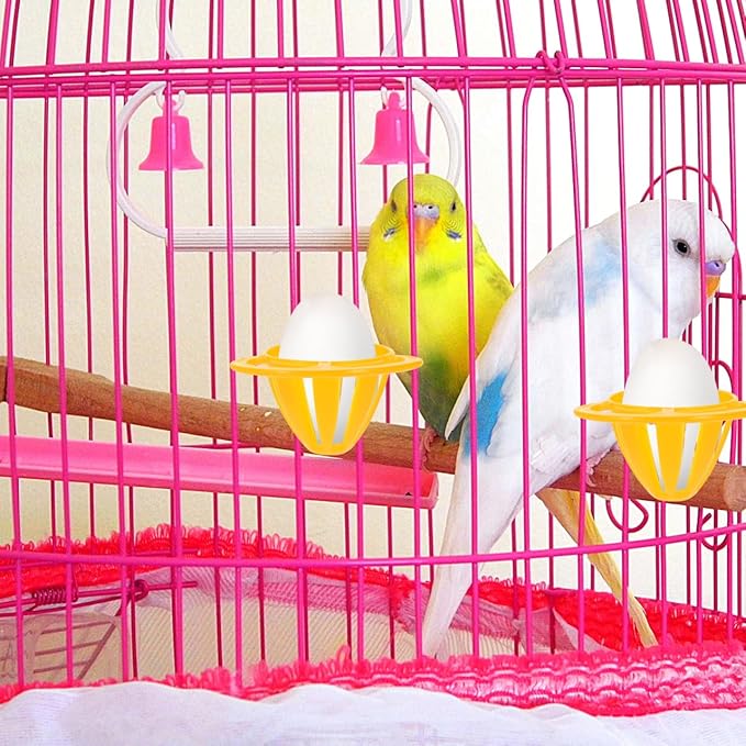 Bird Vegetable Fruit Feeding Holder 5-Pack Small Parrot Cage Food Basket Easy Install Durable Plastic Bird Feeding Holder for Nuts and Fruits