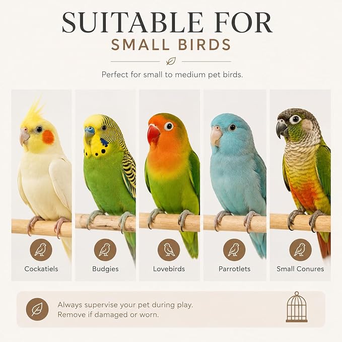 2 Pack Natural Bird Toys for Small Birds, Cuttlebone & Sola Chew Toy Set with Pumice Stone, Pine Cone and Rattan Star, Hanging Cage Accessories for Cockatiels, Budgies, Lovebirds and Conures