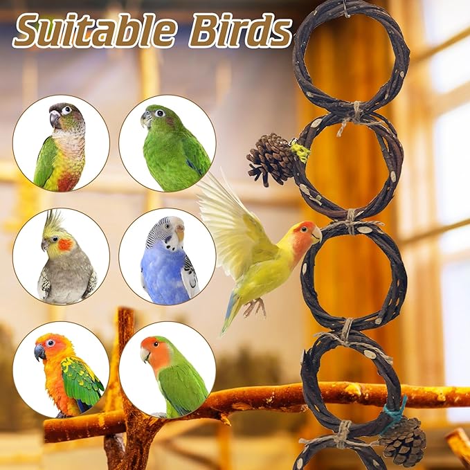 BNOSDM Bird Swing Rings Toy Natural Wood Parrot Climbing Ladder Parakeet Chewing Toys Hanging Budgie Cage Accessories for Green Cheek Conure Cockatiel Lovebird (Single Row 5 Rings)