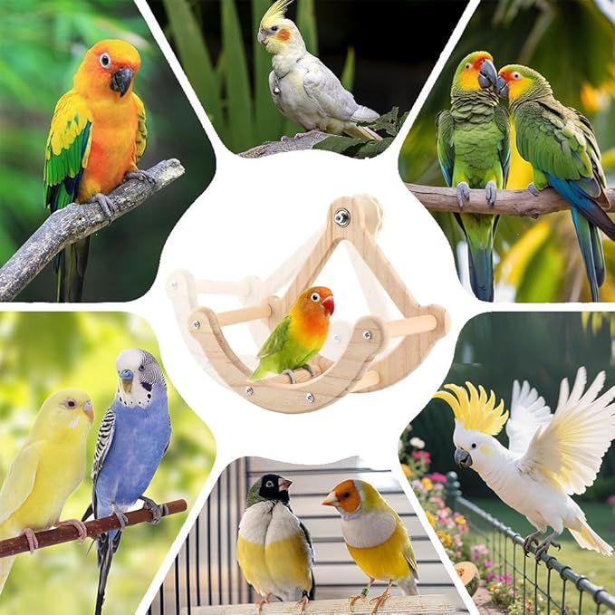 Bird Perch Toy, Wooden Interactive Rocking Parakeet Toys & Perches, Exercise Wheel Cockatiel Toys, Intelligence Puzzle Birds Enrichment Toy Bird Playground for Budgies Conure (Wood)