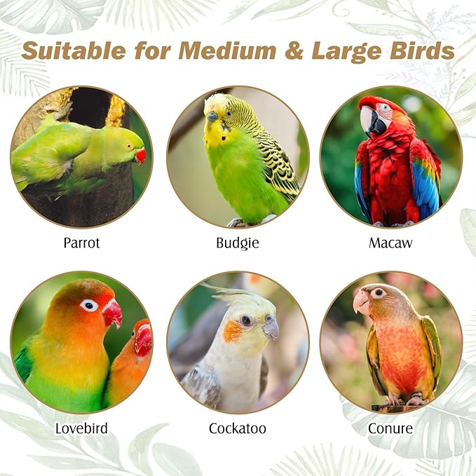 PINVNBY Natural Parrot Perch Grape Wood Bird Stand Pole Parakeet Paw Grinding Fork Chewable Climbing Branches Toy Bird Cage Accessories for Budgies Conures Cockatiels Lovebirds (2 PCS, 11.8IN)