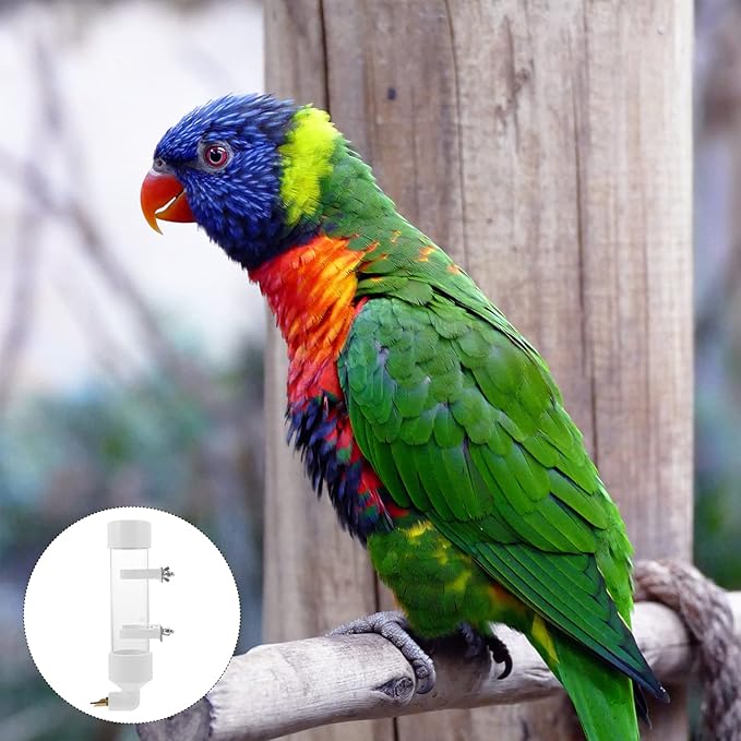 TEHAUX Automatic Bird Water Dispenser, Large Capacity Transparent Water Feeding Bottle for Parakeets, Canaries, Cockatiels, Finches and Other Similar Sized Birds