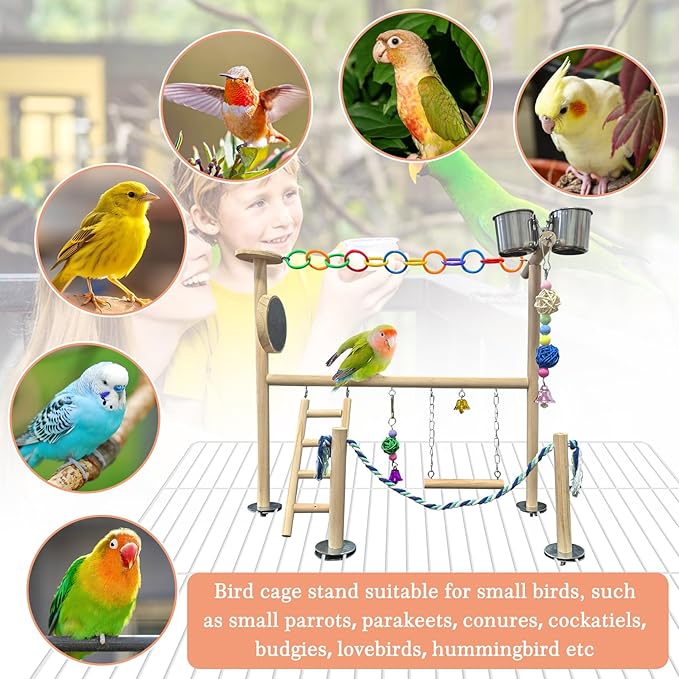Hamiledyi Small Bird Playground Natural Wood for Top of Cage Bird Perch Stand for Parrots Play Gym Toys for Small Birds Parrot Cockatiel Love Birds Budgie(Style A)