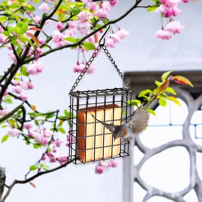 Bird Suet Cake Feeder Feeding Station Decor Pet Supplies Single Cake Basket Holder Garden Cage for Lovers Fruit Patio Outdoor
