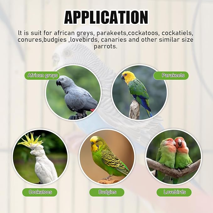 Bird Heater for Cage,Thermostatical Bird Warmer with Mirror to Snuggle up 12V Bird Cage Heating Plate for Cockatiel,Parakeets,Parrots,African Grays