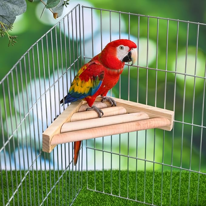 Wettarn 3 Pcs Bird Perch Platform Bird Corner Parrot Perch Corner Wooden Stand Sector Playground Cage Accessories Shelf for Parakeet Conure Cockatiel Budgie Gerbil Rat (7.1 x 7.1 Inch,Ladder)