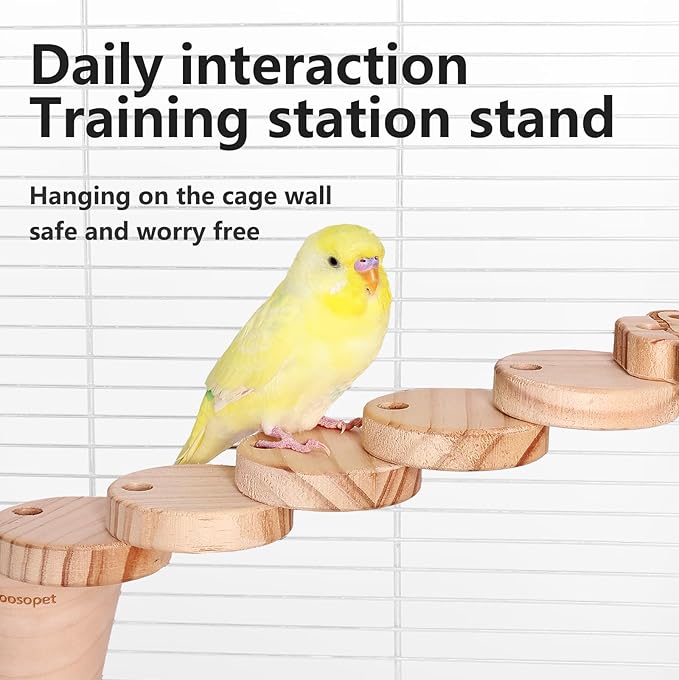 Natural Wood Bird Ladder Perch Toy - Chewable Safe Parrot Climbing Toy for Cockatiel, Finch & Other Small to Medium Birds, Bird Cage Accessories with Easy Screw Installation (Cartoon Parrot Pattern)