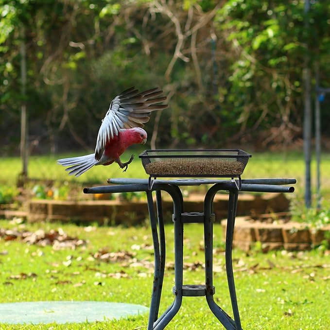 4 Pcs Ground Bird Feeder Tray 6.9 x 6.9 x 2.2 Inches, Metal Platform Mesh Seed Tray for Bird Feeders, Great Attracting Garden Yard Decoration for Wild Birds Squirrels Dove