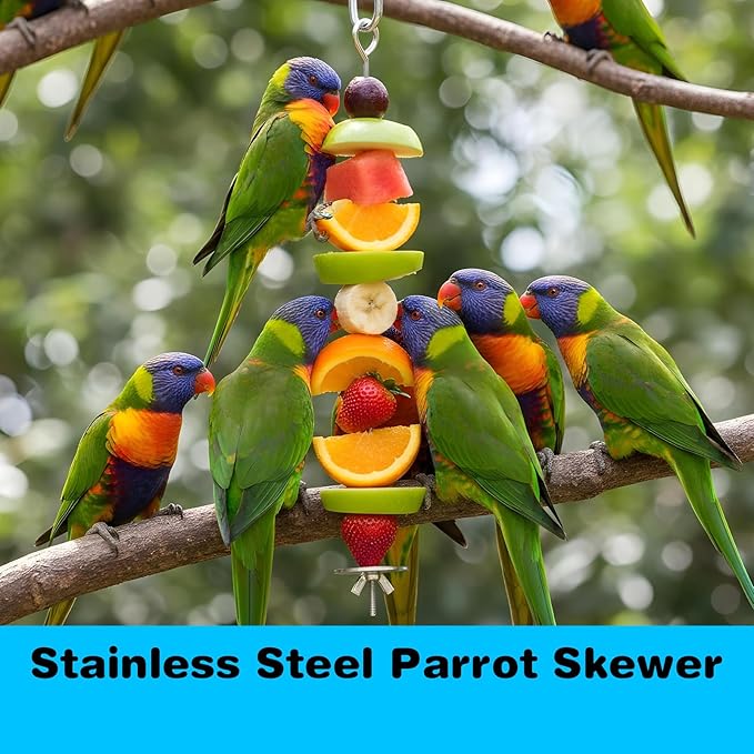3 Pack Bird Cage Food Holder, Rat Foraging Toys, Stainless Steel Parrot Fruit & Vegetable Skewer Hanging Foraging Toy for Parakeets, Budgies, Macaws