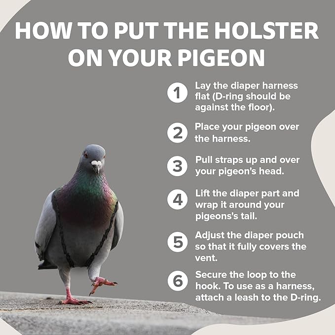 Hen Holster Premium Starter Kit - Bird Diaper, Wrap Around for Larger Pigeons, Small Breed Hens & Roosters - Leak-Proof, Comfortable Bird Harness with Sewn-in Liner & Hook & Loop Closure - XS, Gray