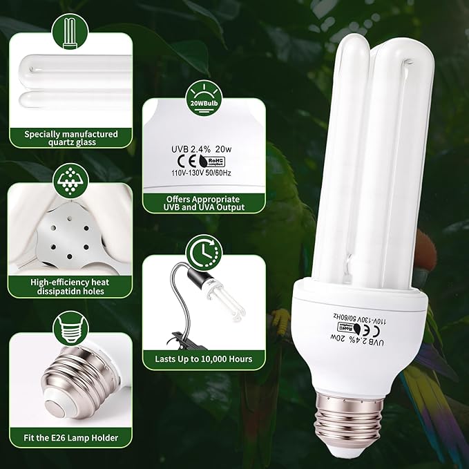 Bird Cage UVB Light Combo Kit, Avian Sun Lamp 2.4% UVB UVA 20W Compact Fluorescent Bulb for All Kinds Captive Birds, 2 Bulbs Included