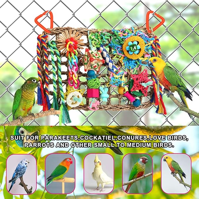 Foraging Toys for Parakeets Cockatiel Conures Lovebirds - Seagrass Wall with Various Bird Toys
