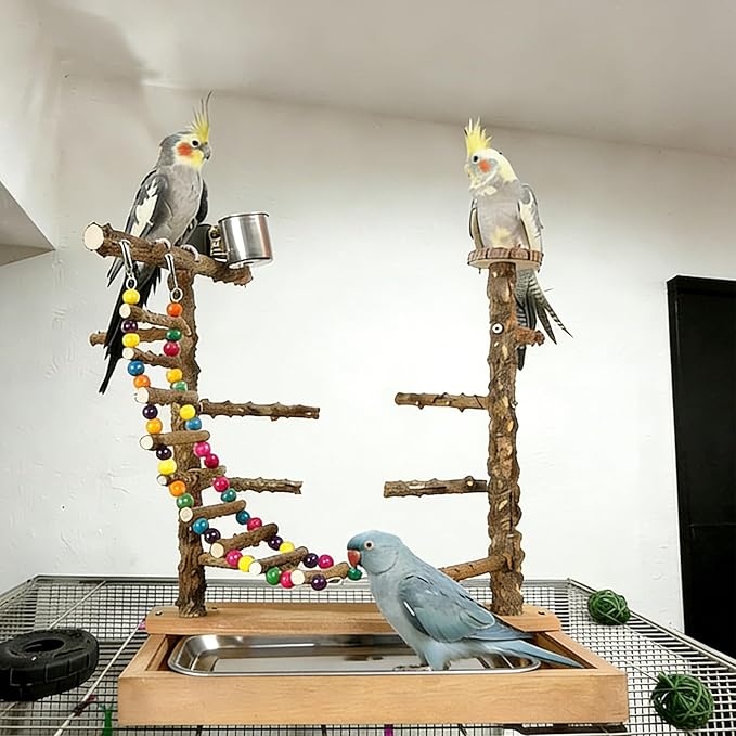Wooden Bird Play Stand Parrots Playground Perch Stand with Bird Ladder Chewing Toys and 2 Stainless Steel Cups (Brown)