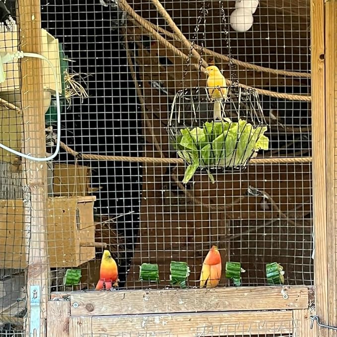 Hanging Bird Feeder Accessories,Foldable Parrot Fruits Vegetables Feeder with 4pcs Adjustable 17inch Hanging Chain,Bird Swing Toys for Parrot Sparrow Oriole,for Courtyard Porch Indoor Outdoor