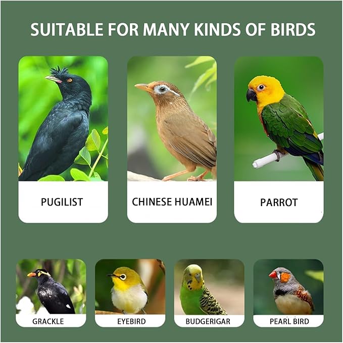 Aimery Bird Cage,Stainless Steel Birdcage,Small Bird cage,Bird Cages for Parrots,Travel Bird Cage,Bird Travel cage(V40G)