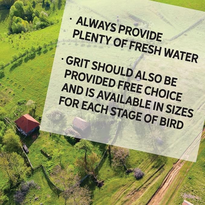 New Country Organics I Power Pellet Broiler Feed 40 lbs I Grower/Broiler Feed for Growing Chickens I Soy-Free I 19% Protein I Certified Organic and Non-GMO I 40 lbs