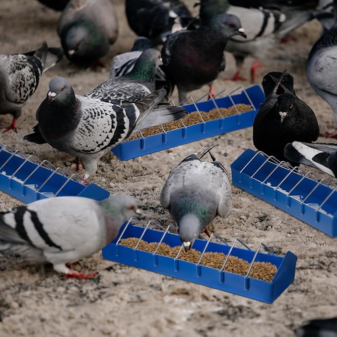 Tioncy 4 Pack Large Pigeon Feeder Bird Dispenser 8 Slot Poultry Feeder Bowl Thick Chicken Feeding Dish Tool Slot Container for Bird Chicken Duck Poultry Parrots, with Removable Steel Wire Partition