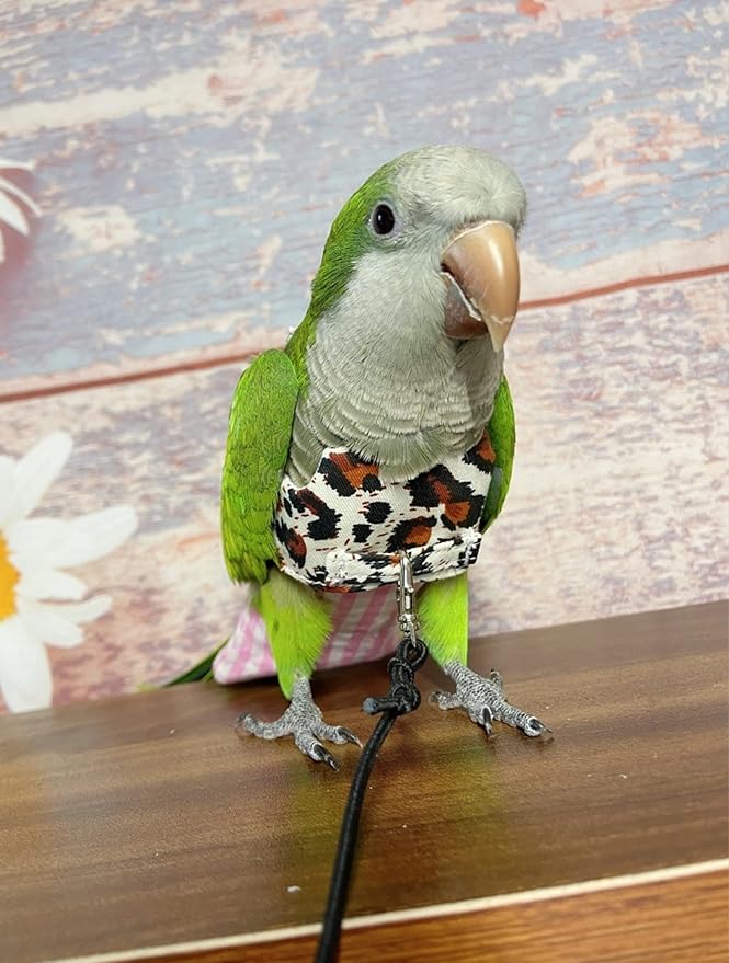 Bird Flight Harness Vest, Parrot Flight Suit for Cockatiels Conures Budgies, Bird Flying Clothes for Outdoor Activities Training