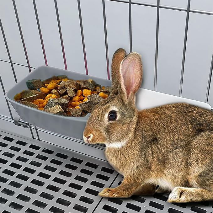 6 Pack Feeder Waterer Chicken 21 oz Food Water Cage Cups Puppy Cat Rabbit Hanging Feeding Dish Coop Bowl Watering Container Treats Drinker for Pigeon Bird Bath Basin Hamster Bed