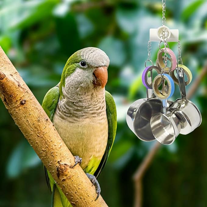 LWINGFLYER Stainless Steel Parrot Toys, Pullable Stainless Steel Cup and Cardboard Ring Toys Hanging Chew Bird Toys for Large Parrots,African Grey, Amazon Parrots