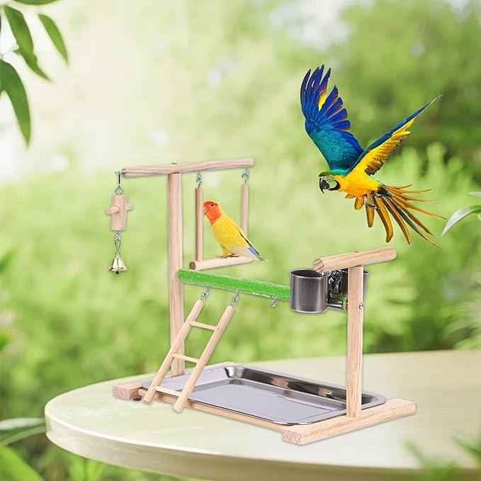 Bird Playground, Natural Wood Bird Perch Stand with Removable Tray and 2 Stainless Steel Feeder Cups, Parrot Playstand Bird Cage Toys for Conure Parakeet Cockatiel Parrot (C)
