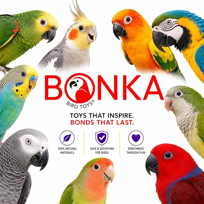 Bonka Bird Toys 1925 Cake Natural Sola Shred Forage Chew Treat Parrot Parrotlet Budgie Cockatiel Parakeets and Other Similar Birds