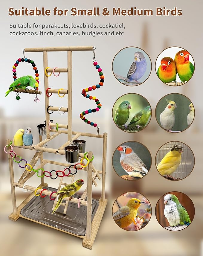 Bird Play Stand, Large Parakeet Playground, Natural Wood Parrot Perch Stand, Birds Play Gym Cockatoos Cage Accessories with Feeder Cups Swings for Cockatiel Budgie Conure
