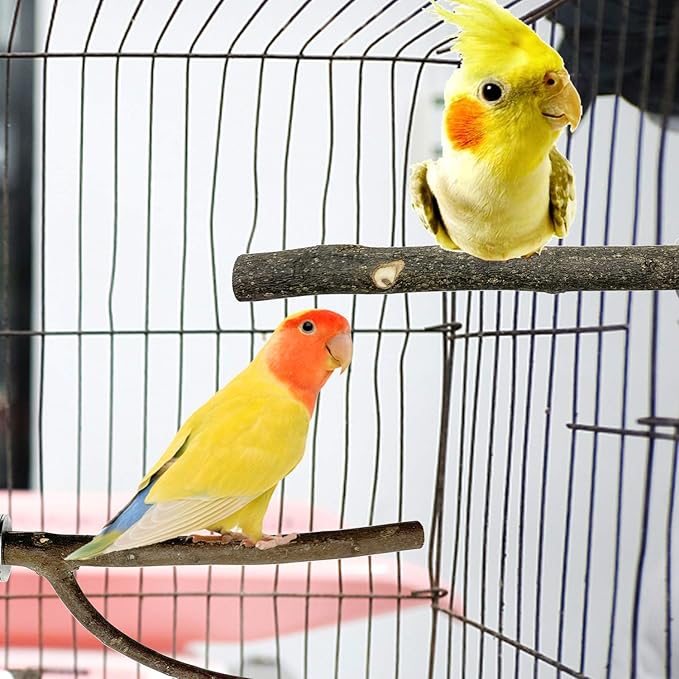 EBaokuup Bird Parrot Perch Set - 10PCS Natural Wood Parakeet Stand, Fork, Rod, Paw Grinding Stick for Budgies, Cockatiels, Conure, Lovebirds
