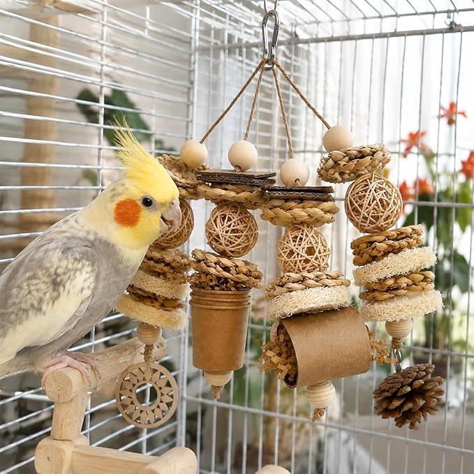 Bird Foraging Toy Parakeet Enrichment Puzzle Parrot Foraging Toys Loofah and Pine Cone Chew Play for Budgies Cockatiels Conures Quaker Parrot Small to Medium Birds
