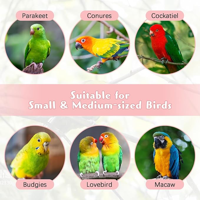 PINVNBY Bird Beak Grinding Stone 2Pcs Bird Chewing Toys Lava Calcium Block with Bell Hanging Parrot Chewing Toy Cage Accessories for Parakeets Conures Cockatiels Budgies Lovebirds