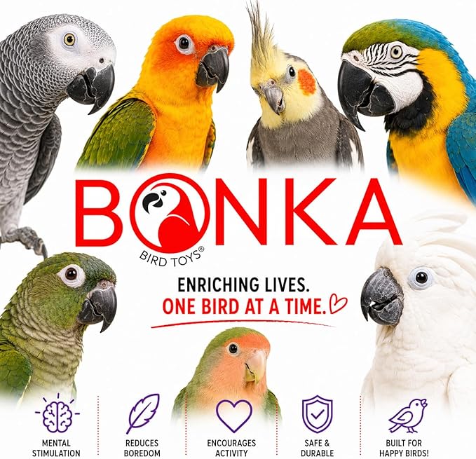 Bonka Bird Toys 1854 Tri Foraging Star 13" x 8" Natural Vine Ball Chew and Shred Toy for Medium to Large Birds Like Conures African Greys Amazons and Similar